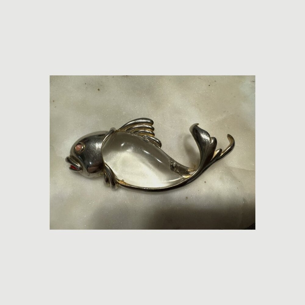 Rare Extra Large Vintage Jelly Belly Fish Brooch With Lucite Body & Coral Eyes